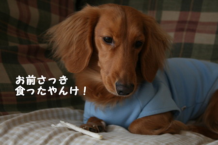 東矢くんと摩耶さん4