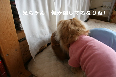 東矢くんと摩耶さん1