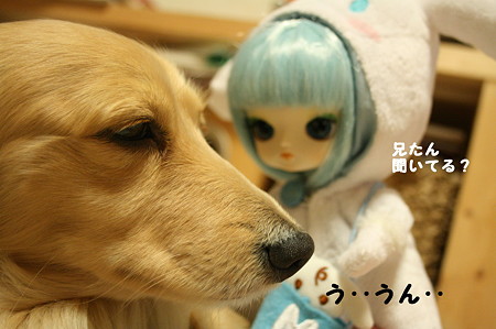 摩耶さんとシナモン 6