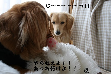 東矢くんと摩耶さん2