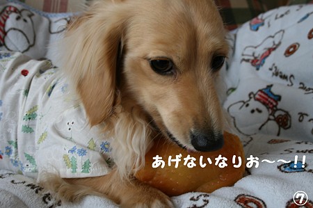 おNEWおもちゃ 7
