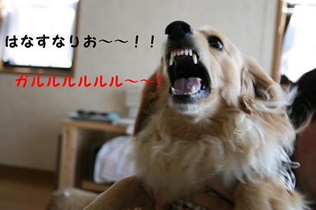 怒る!摩耶さん!!