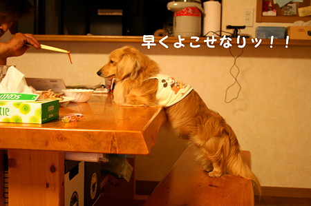 摩耶8