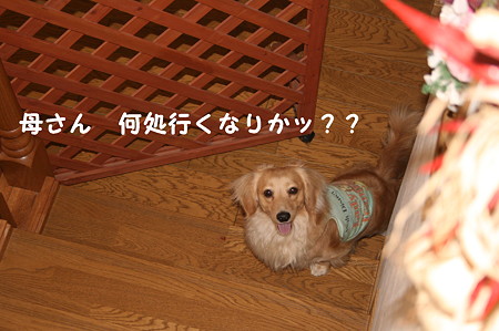 摩耶5