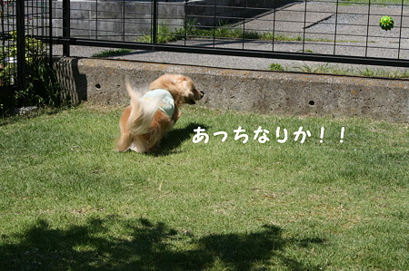 摩耶2