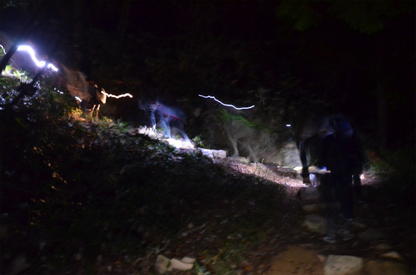 真っ暗な山道を懐中電灯の明かりを頼りに登る