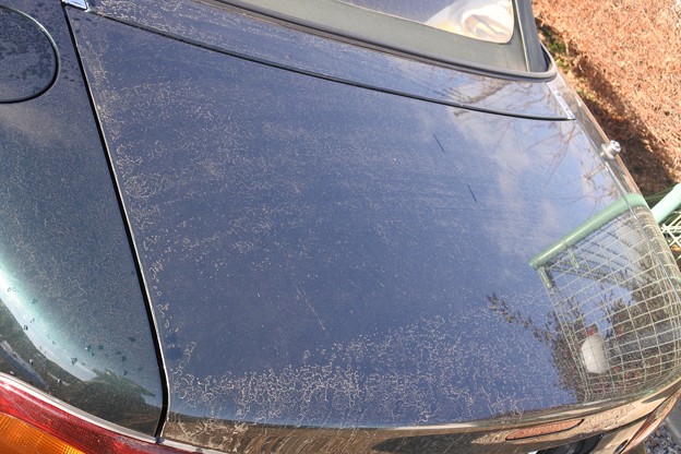 停めている間の砂埃がメインなので水洗いで綺麗になる