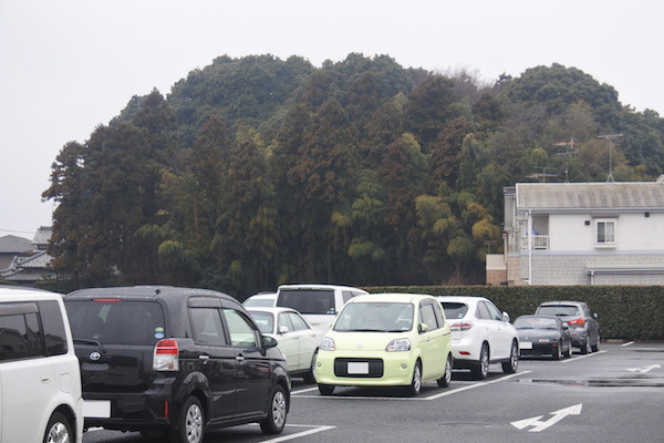 診療を終えて戻って来た時にはかなりの台数