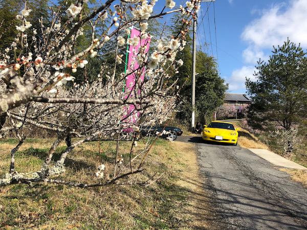 黄色いアメリカンマッスル
