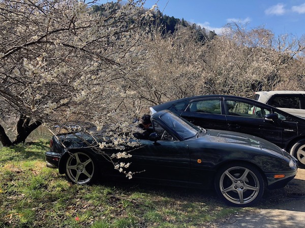 車を止めて