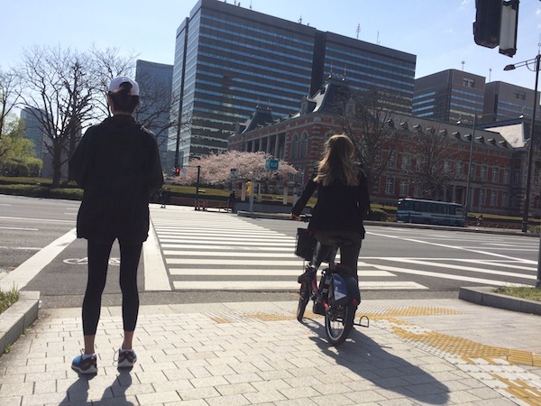 法務省の赤煉瓦棟と桜の組み合わせ