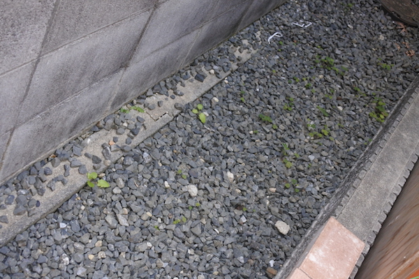 草むしりをサボって除草剤に頼ってはダメ