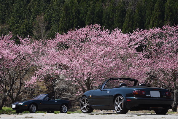 後ろ姿でmotoshi号とコラボ