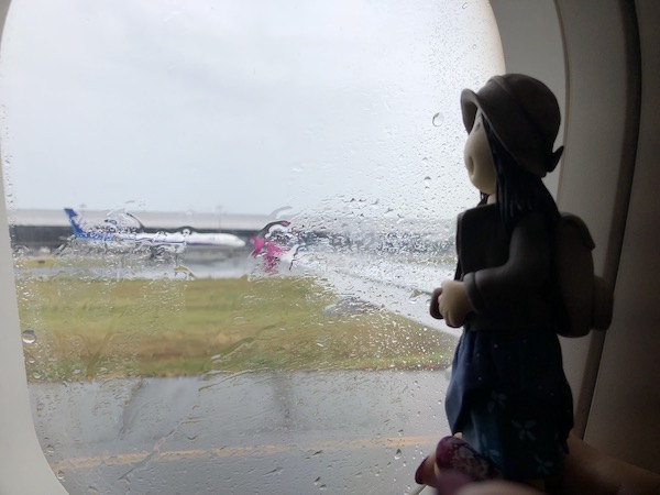 次男が大阪へ飛んでる頃、家内は大阪から北海道へフライト