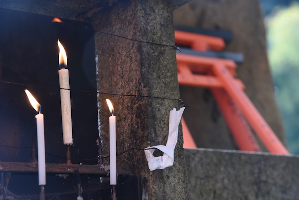 小さな鳥居が奉納されています