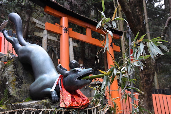 様々な表情、ポーズ、持ち物の狐がいる