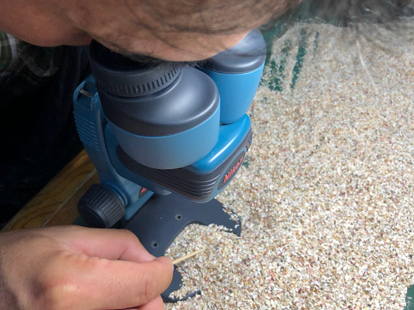 顕微鏡で見ながら砂をいじれるコーナー