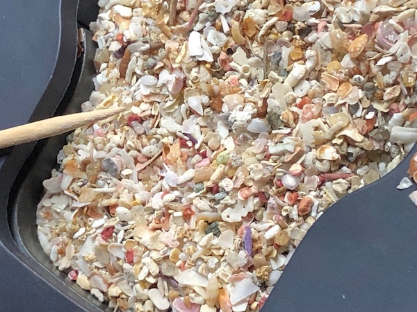 肉眼では単なる砂や貝殻の破片にしか見えない