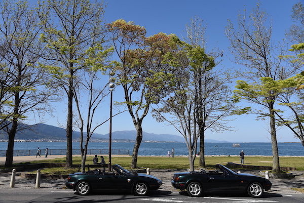 綺麗な琵琶湖と新緑と一緒に