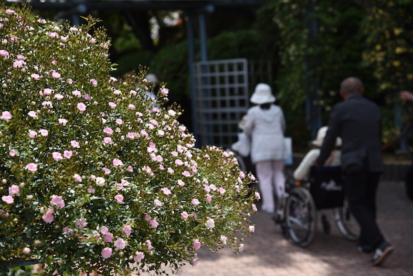 施設のスタップさんが車椅子の老人をアテンド