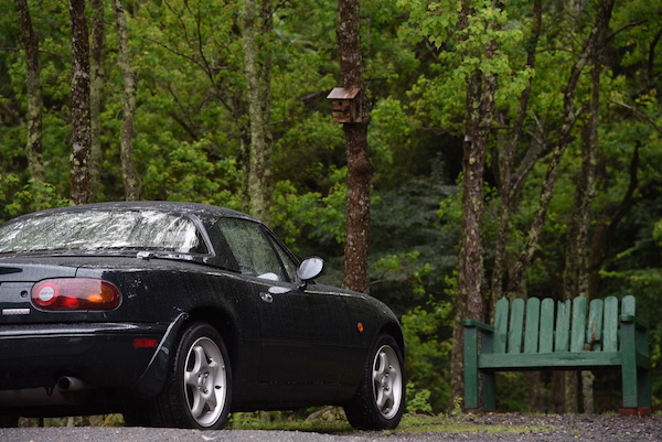 緑は雨と似合う？