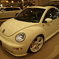 Photos: New Beetle(2)