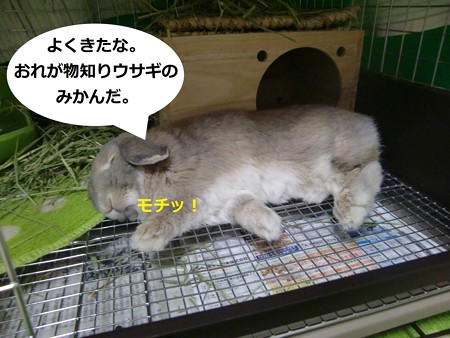 あ1