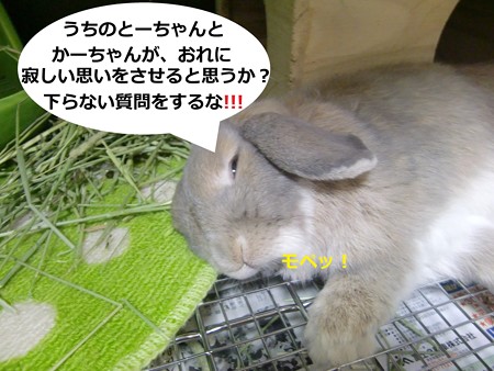 あ4