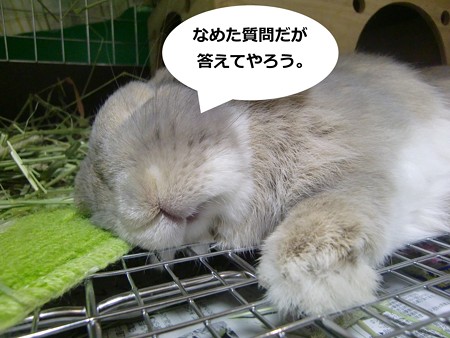 う3