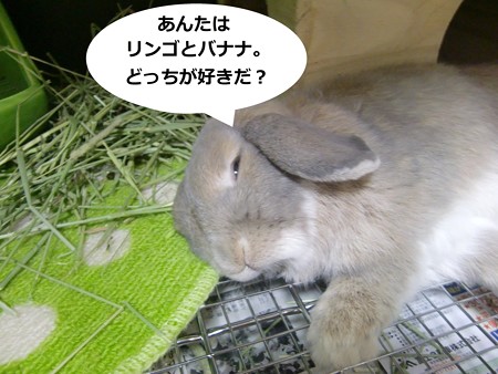 う4