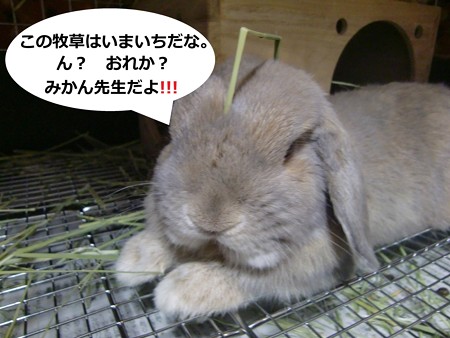 あ1