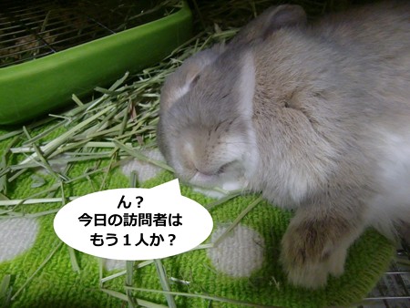 あ3