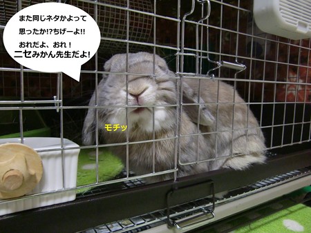 ニセ先生1