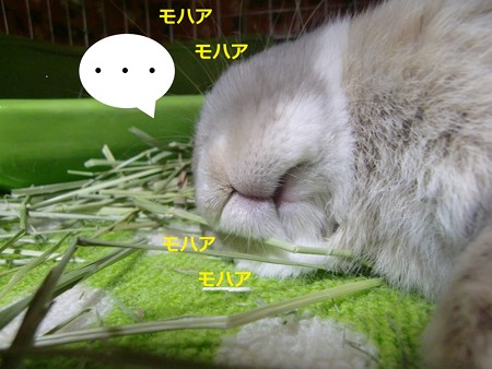 ニセ先生4