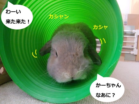 遊ぼう2