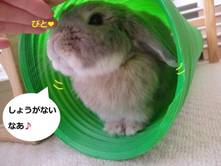 遊ぼう4