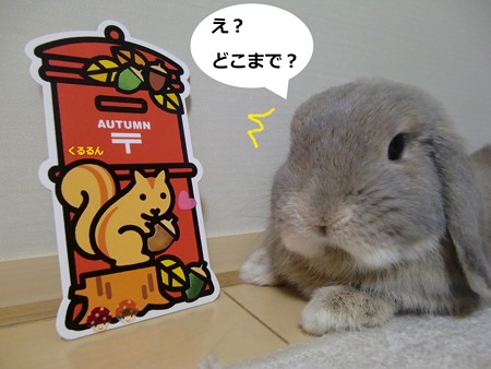 秋の便り2