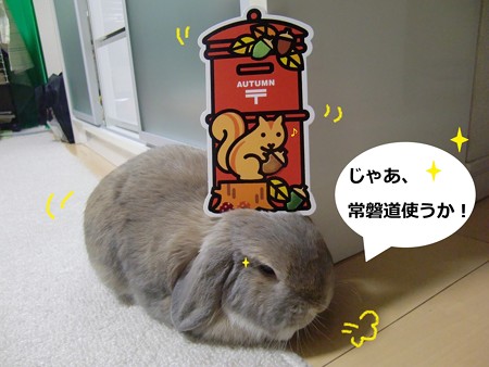 秋の便り3