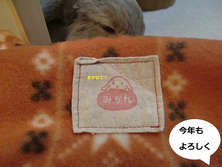 ぽかぽか1