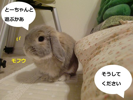 そうなの?4