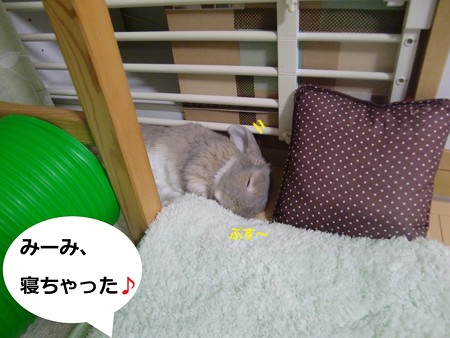 おやすみ1
