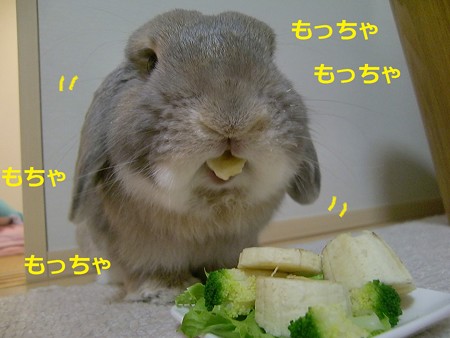 5歳6