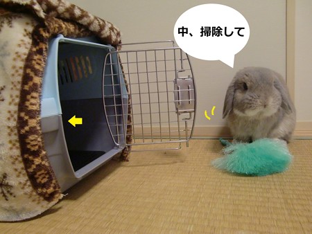うさんぽ準備3