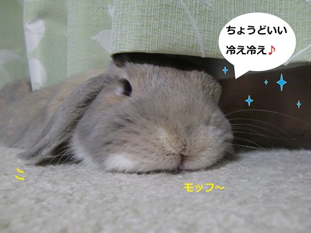 すきま5