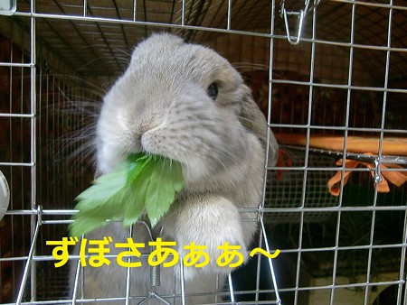 あ5