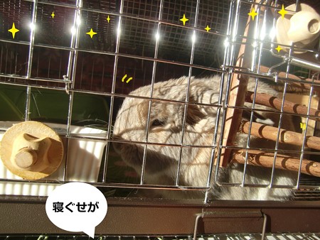 おはよ1