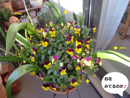 おはよ5
