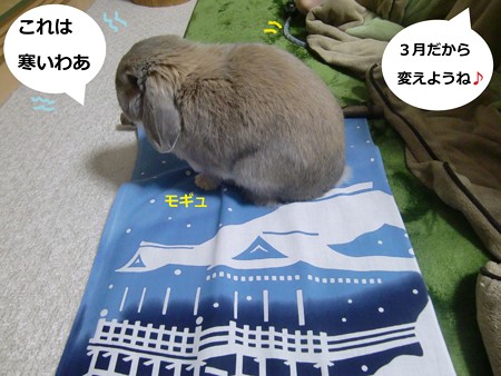 掛け軸1