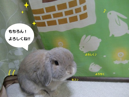 掛け軸5