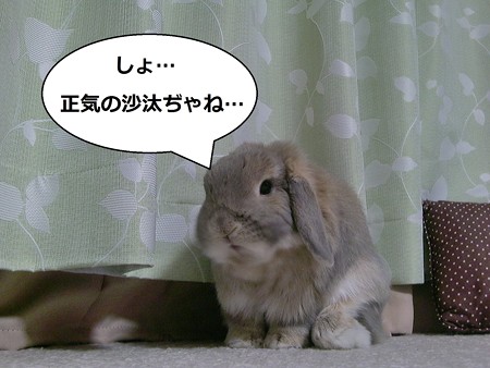 お1